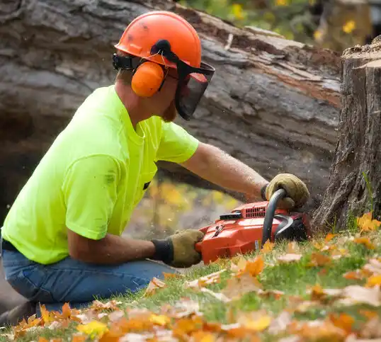 tree services Flint Hill